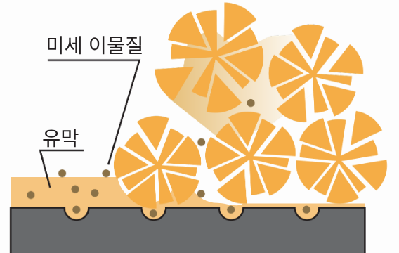 비교 대상 일반 마이크로파이버 섬유 단면 일러스트